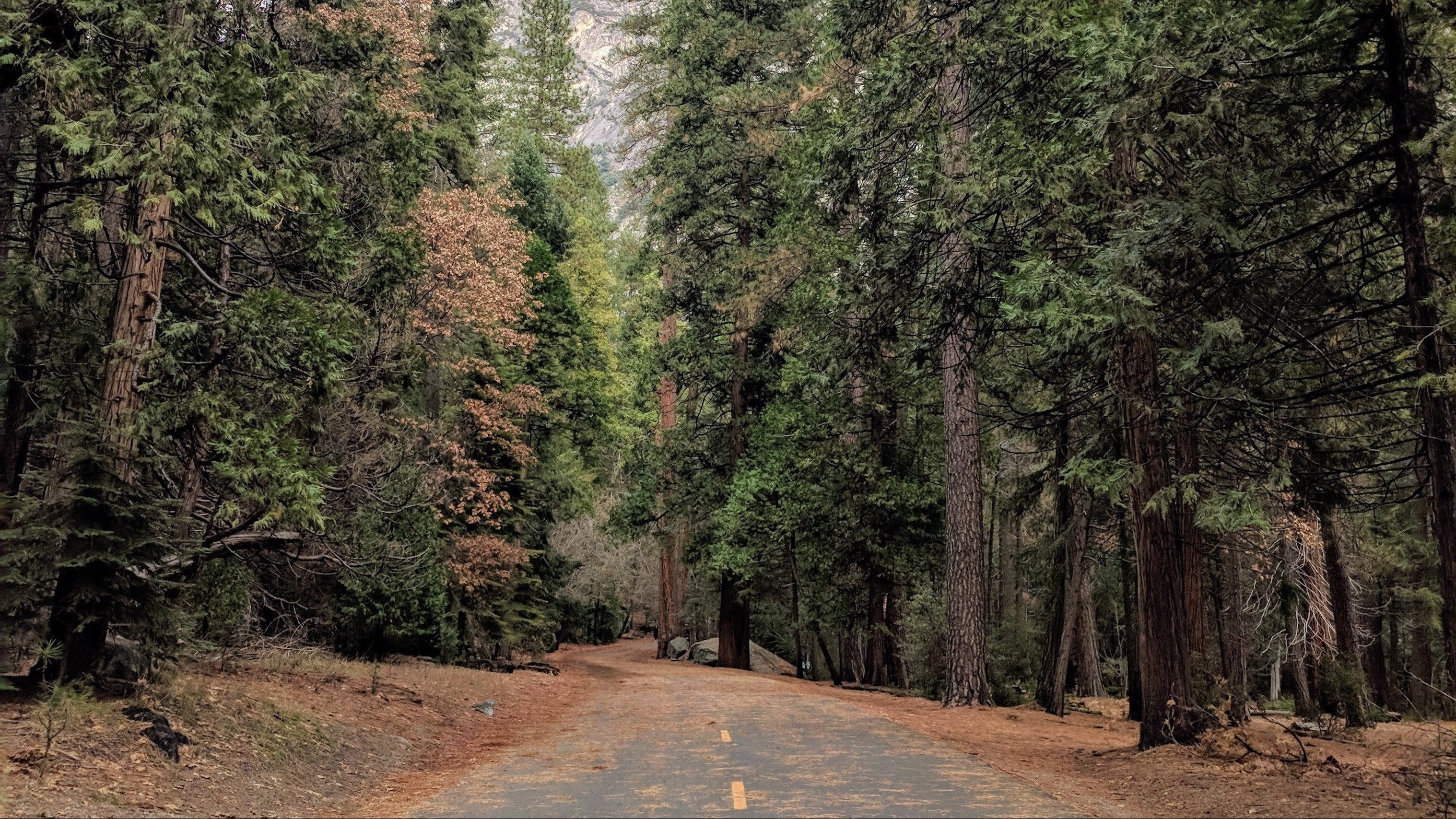 Spring 2026 Trail Hike