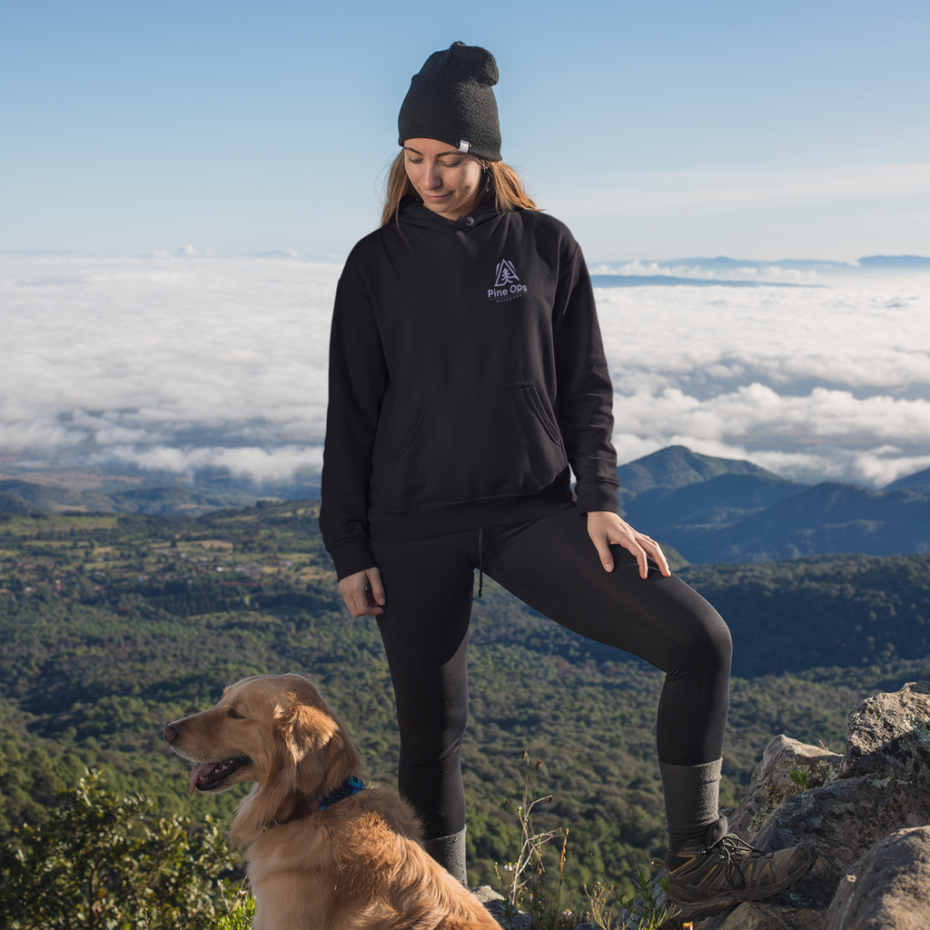 Person and dog on a mountain top with a scenic view of clouds and mountains.
